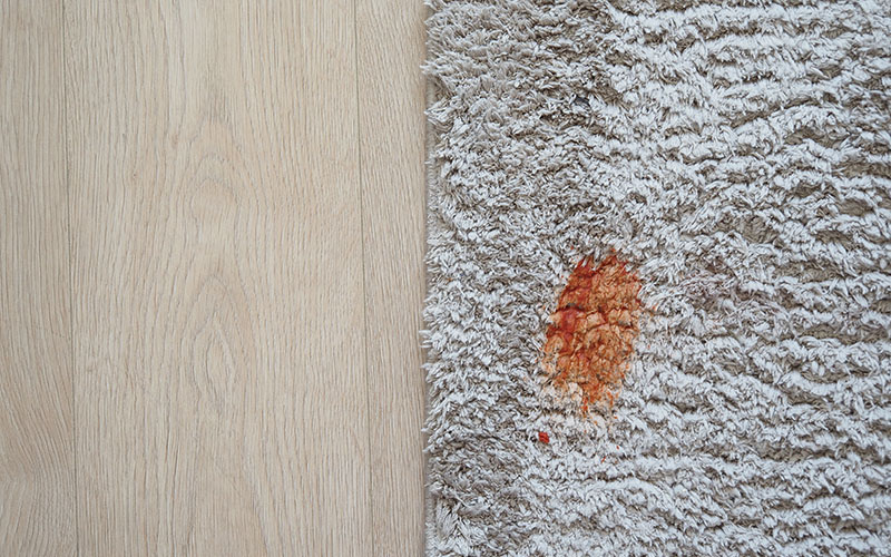 How to Remove Blood Spots from Carpet & Furniture