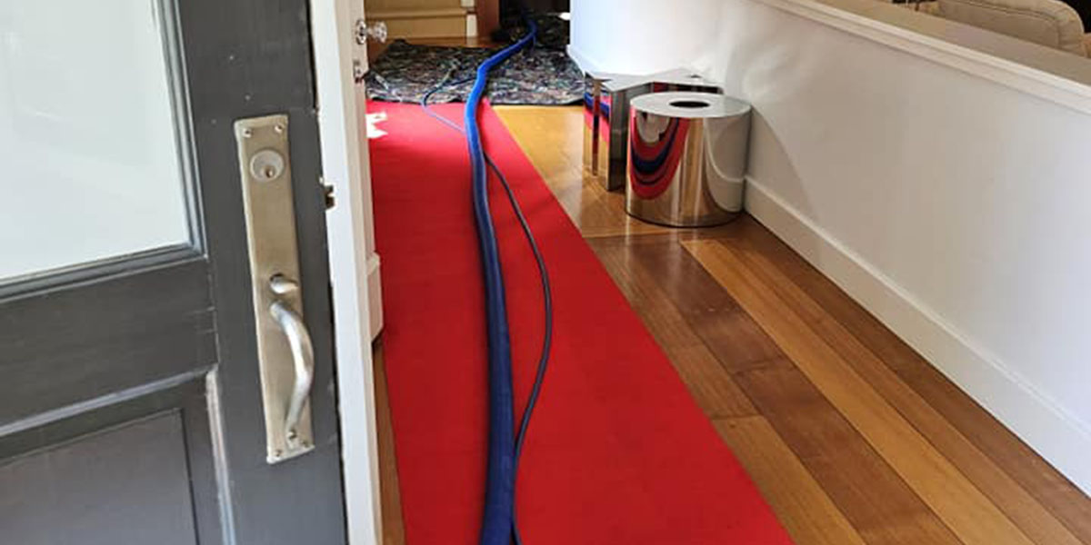 A technician cleaning commercial office carpets with high-powered equipment during off-hours.