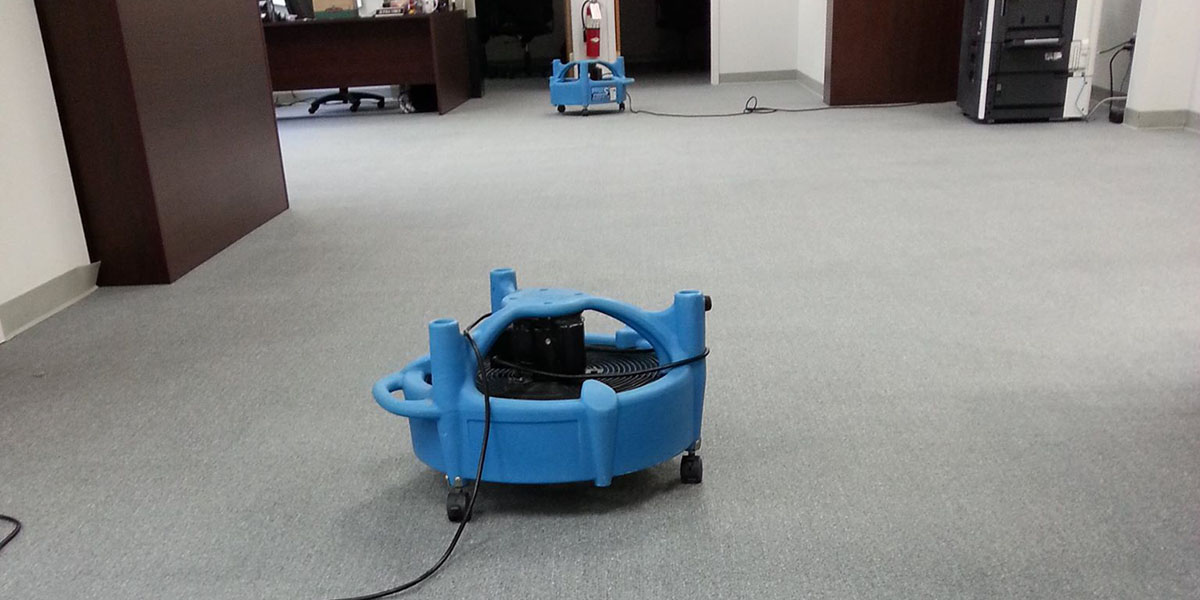 Wide view of an office space with spotless carpets after professional cleaning services.