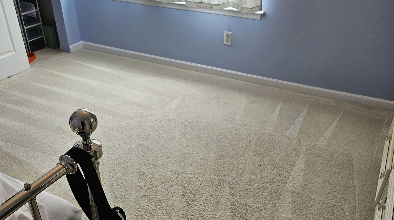 Carpet cleaning at Brookhaven New York